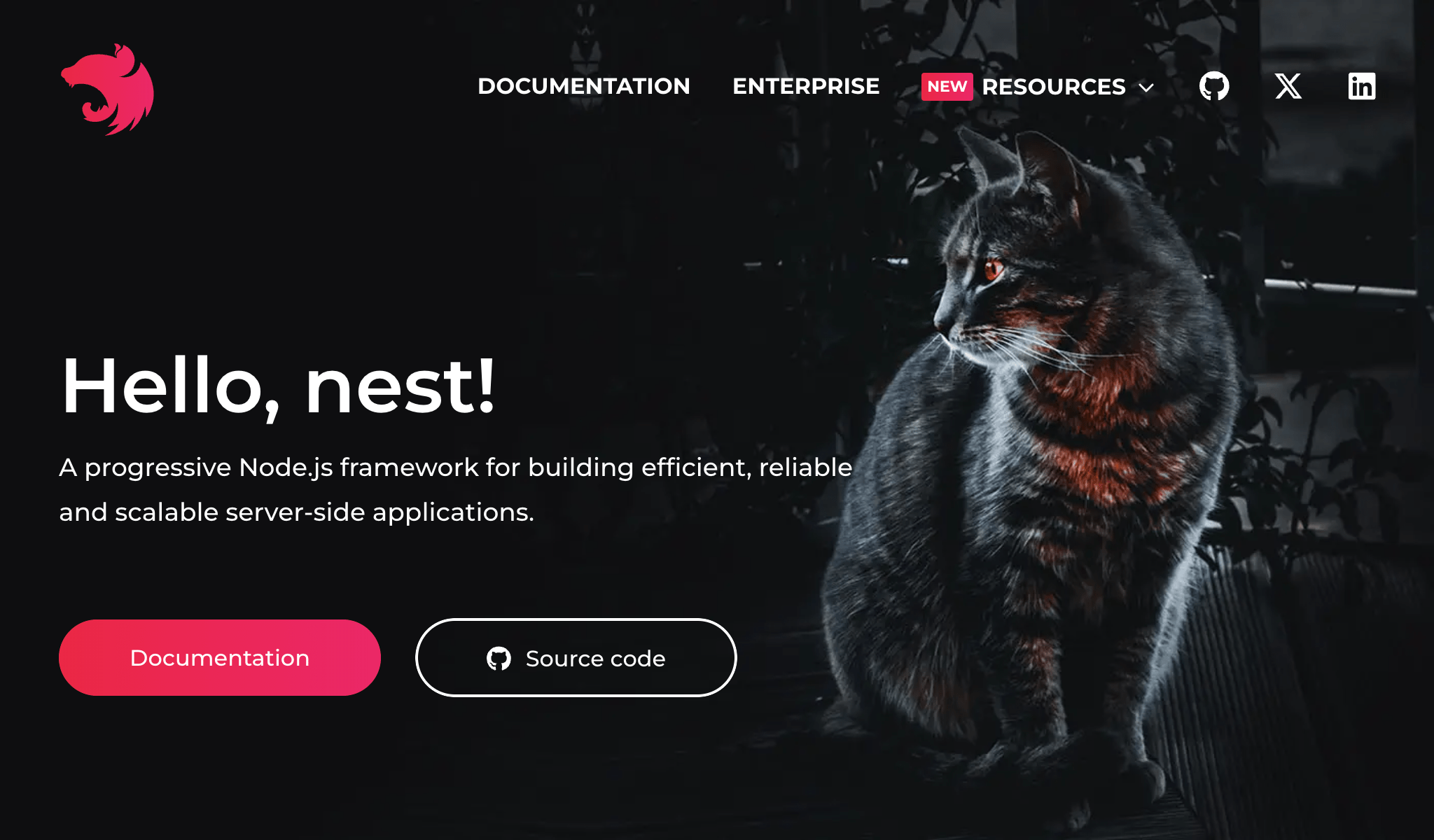 NestJS Framework